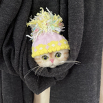 羊毛フェルト猫ブローチ