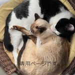 runrun様専用ページです。