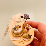 初夏のマスカットとキウイのケーキとサングリア