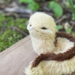 【 ウツボくん 】No.4