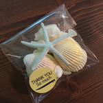 限定3個!シェルセット☆青