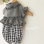 お出かけが上がる⤴︎フリルの盛り合わせパンツ