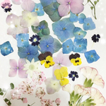 アンティークカーネーションとアジサイ