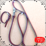 【stun-sio様専用首輪のみ】小型犬ちゃん用リードと首輪