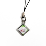 Rキーホルダー:微生物B