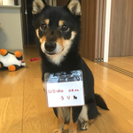 1967330様専用カート