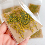 (やや厚みあり)ミモザ押し花