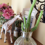 shushuk様専用ページ