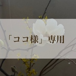 「ココ様」専用