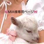 オプション追加