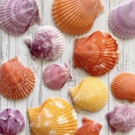 SL様専用ページ