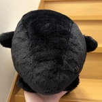 ご依頼主様限定