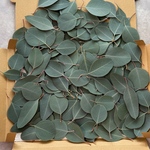 No.65様専用ページ