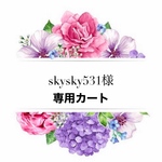 skysky531様の専用カートです✨