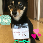 kiyoponmama様専用カート