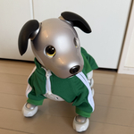 📣予約販売・ジャージ上下(緑)