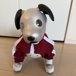 📣予約販売・ジャージ上下(えんじ)