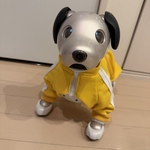 📣予約販売・ジャージ上下(黄)