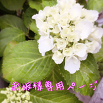 赤坂様専用ページ