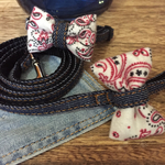 犬用首輪&リードセット