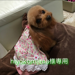 hiyokomama様オーダー品