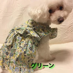 ローラのドレス