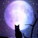 kucyi様専用ページ