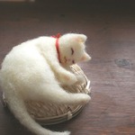 かご猫 たま ⑩