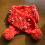 ★おしゃれなワンちゃんのマフラー