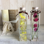 大人可愛い二本セット