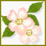 chon※※※※※53様専用