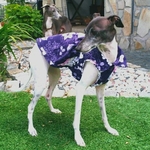 『浴衣生地👘 はんなり』 イタグレ服