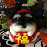 【再販】シュナウザーがこ〜ろんだ⁈ ⑤『シュナだるま・縁起物』