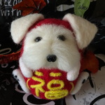 【再販】シュナウザーがこ〜ろんだ⁈ ④『シュナだるま・縁起物』