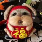 【再々販】シュナウザーがこ〜ろんだ⁈ 『シュナだるま(レバータン)・縁起物』