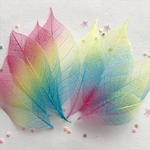 スケルトンリーフ ヴィヴィッドカラー 大小10枚入り おまけ付き