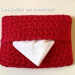 大人レッドポケットティッシュケース