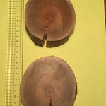 木口木版の版木 桜2