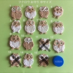 フクロウ お守り 中サイズ