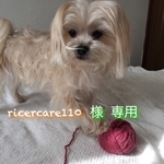 ricer care様専用