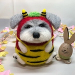 シュナわぁ〜うち❗️【シュナ鬼(赤)・節分】