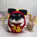 【再再々販】シュナウザーがこ〜ろんだ⁈『シュナだるま(B&S)・縁起物』