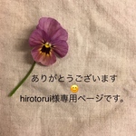 送料無料 さくらんぼ🍒のレッスンバッグ シューズ入れ 体操服入れのセット No. 34