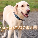 yukari0917様専用