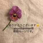 送料無料 スワンの中くらい(給食袋)巾着 No. 47