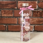 桜のハーバリュウム②