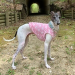 冷感白くま🐼・ピンク色