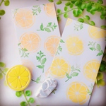 レモンとミントの消しゴムはんこ