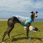 『冷感ニット・アイス🍧』