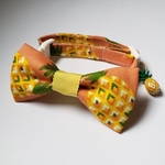 猫ちゃん首輪☆パイナップル